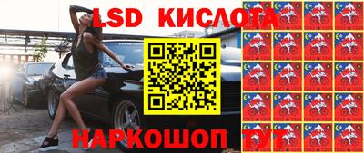 гидра Краснокаменск