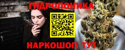 гидра Краснокаменск