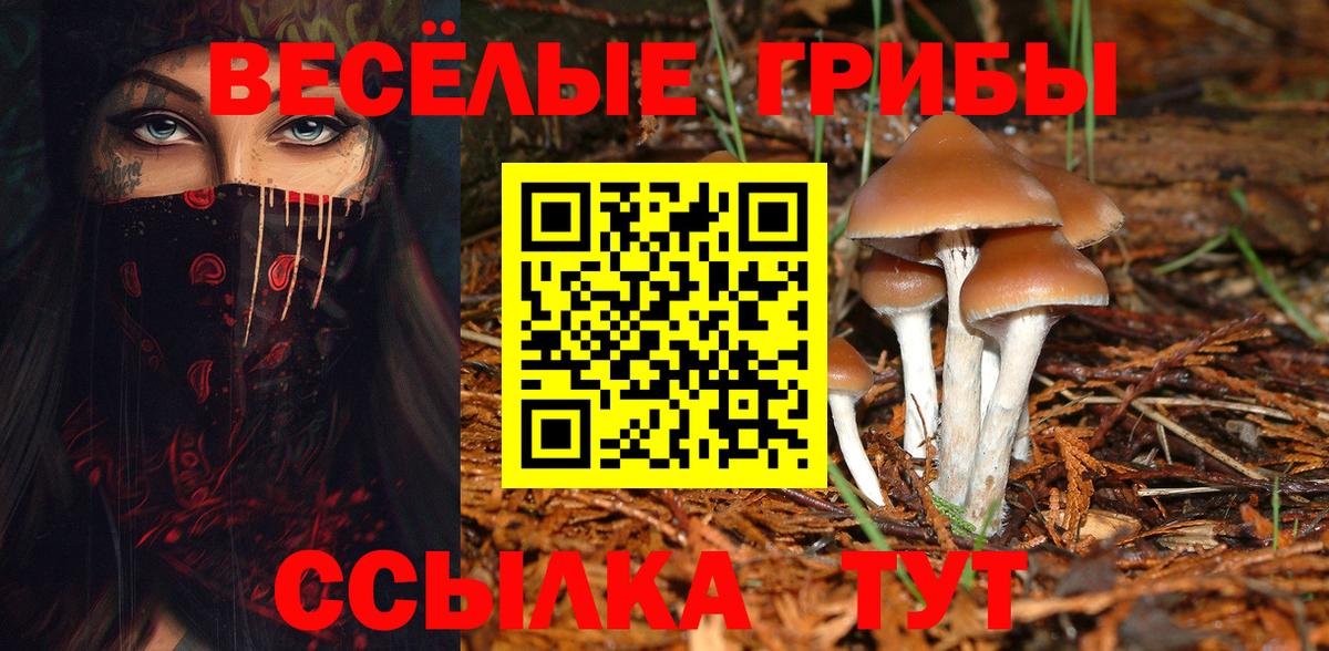 Зеленогорск  Галлюциногенные грибы прущие грибы  Вход с VPN  Псилоцибиновые грибы Psilocybine cubensis 