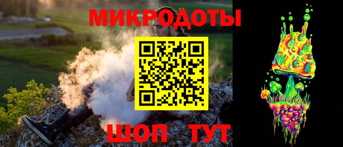 Псилоцибиновые грибы мицелий Зеленогорск